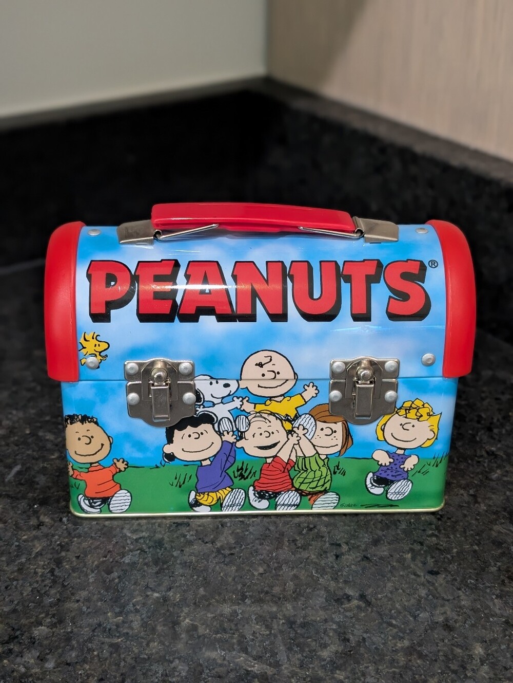 Peanuts Metal Lunchbox Snoopy And Gang